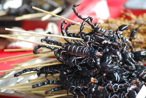 谁教教会,当然,和使用淘宝体(一) - 华网天下